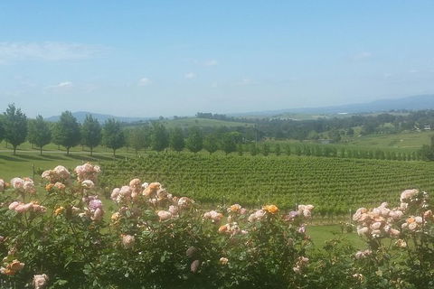 Ultimate Mornington Peninsula Food And Wine Small Group Tour - Northern Rivers Accommodation 0