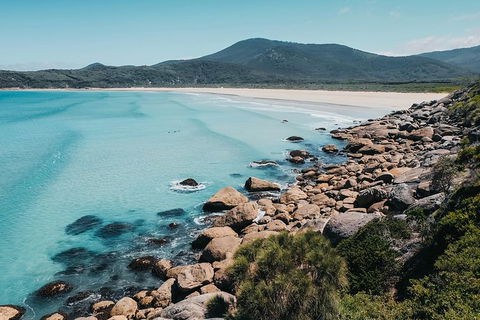 Small Group - Wilsons Promontory Hiking Day Tour From Melbourne - Northern Rivers Accommodation 2