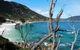 Small Group - Wilsons Promontory Hiking Day Tour From Melbourne - thumb 6