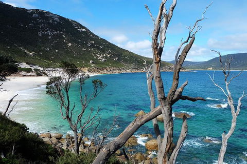 Small Group - Wilsons Promontory Hiking Day Tour From Melbourne - Northern Rivers Accommodation 6