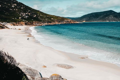 Small Group - Wilsons Promontory Hiking Day Tour From Melbourne - Northern Rivers Accommodation 5