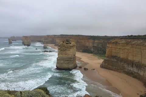 Private Great Ocean Road Tour With Local Guide / Reverse Tour Recommended - Northern Rivers Accommodation 5