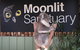 Private Tour: Phillip Island, Penguin Parade And Moonlit Sanctuary Conservation Park From Melbourne - thumb 3