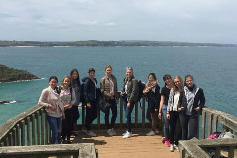 Phillip Island Full Day Tour From Melbourne - Northern Rivers Accommodation 1