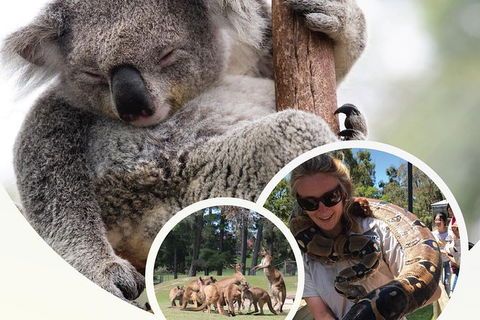Ballarat Wildlife Park - Northern Rivers Accommodation 0