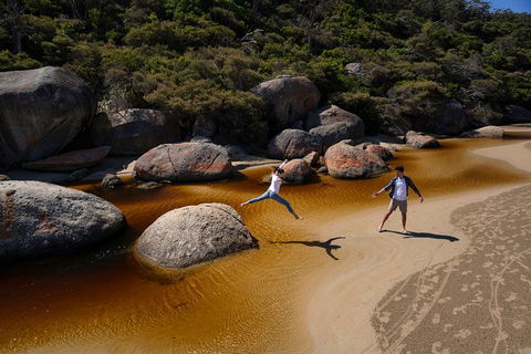 Wilsons Promontory Walks And Wildlife Tour From Melbourne - Northern Rivers Accommodation 3