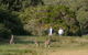Wilsons Promontory Walks And Wildlife Tour From Melbourne - thumb 9