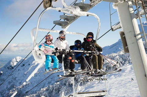 Mt Buller Snow - Sightseeing - Northern Rivers Accommodation 0