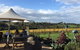 Mornington Peninsula Wine And Cheese Tasting Day Trip From Melbourne - thumb 0