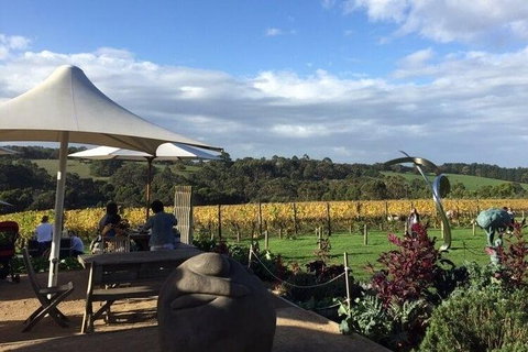 Mornington Peninsula Wine And Cheese Tasting Day Trip From Melbourne - Northern Rivers Accommodation 2