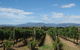 The Ultimate Yarra Valley Food And Wine Small Group Tour (Max 6 Guests) - thumb 7