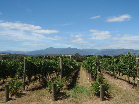 The Ultimate Yarra Valley Food And Wine Small Group Tour (Max 6 Guests) - Northern Rivers Accommodation 7