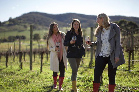 The Ultimate Yarra Valley Food And Wine Small Group Tour (Max 6 Guests) - Northern Rivers Accommodation 16