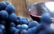 The Ultimate Yarra Valley Food And Wine Small Group Tour (Max 6 Guests) - thumb 17