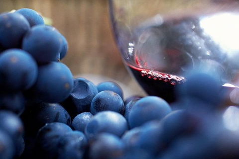 The Ultimate Yarra Valley Food And Wine Small Group Tour (Max 6 Guests) - Northern Rivers Accommodation 17
