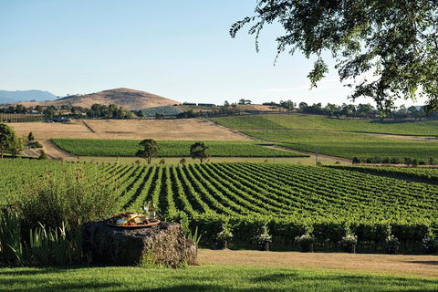 The Ultimate Yarra Valley Food And Wine Small Group Tour (Max 6 Guests) - Northern Rivers Accommodation 25