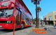 City Sightseeing Melbourne 24 Hour Bus Pass & Melbourne Zoo - thumb 0