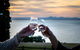 Bellarine Food And Wine Taste Trail - thumb 0