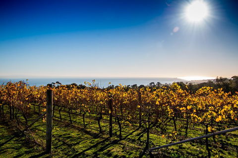 Bellarine Food And Wine Taste Trail - Northern Rivers Accommodation 3