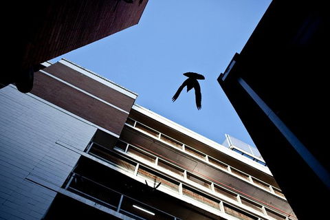 Melbourne Laneway Photo Tours - Northern Rivers Accommodation 1