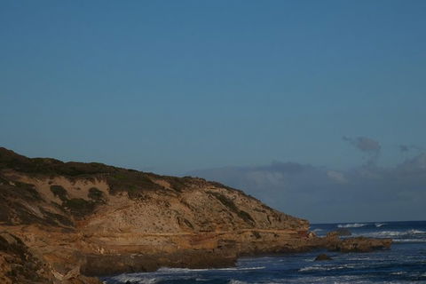 Mornington Peninsula Tour - Northern Rivers Accommodation 0