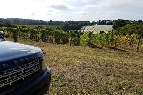 Mornington Peninsula Tour - Northern Rivers Accommodation 1