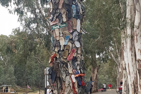 Bendigo, Echuca & The Mighty Murray - Northern Rivers Accommodation 6