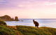 Private Tour: Phillip Island Full-Day Penguins PLUS - thumb 1