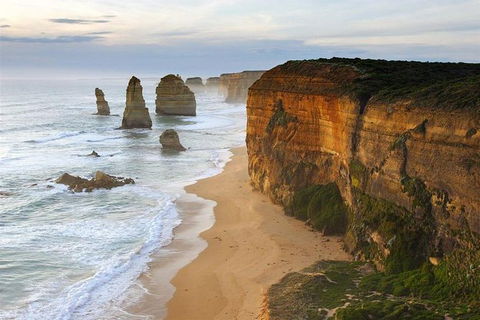 Group Tour: Great Ocean Tour & Twelve Apostles - Northern Rivers Accommodation 0