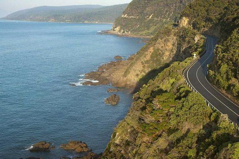 Great Ocean Road To Grampians 2 Day 1 Night Tour From Melbourne To Adelaide - Northern Rivers Accommodation 8