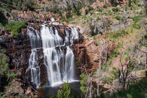 Great Ocean Road To Grampians 2 Day 1 Night Tour From Melbourne To Adelaide - Northern Rivers Accommodation 5