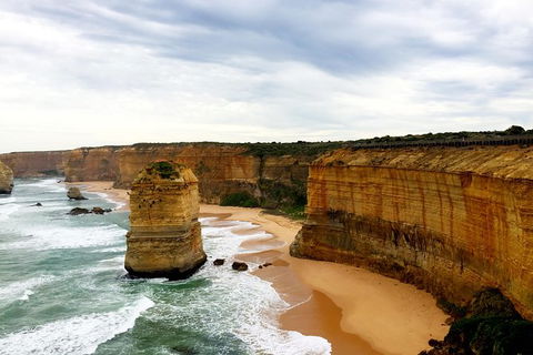 Ultimate Reverse Direction - 12 Apostles, Great Ocean Road - Small Group Tour - Northern Rivers Accommodation 5
