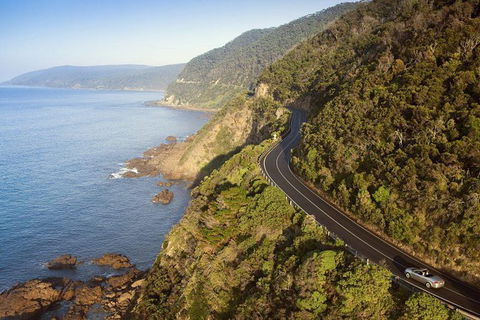 Ultimate Reverse Direction - 12 Apostles, Great Ocean Road - Small Group Tour - Northern Rivers Accommodation 10