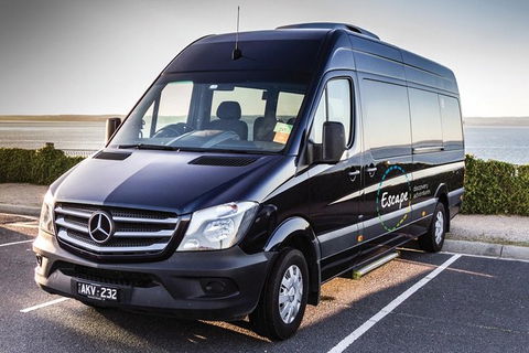 Ultimate Reverse Direction - 12 Apostles, Great Ocean Road - Small Group Tour - Northern Rivers Accommodation 4