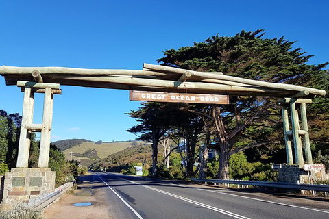 Great Ocean Road Adventure - Private Tour - Reverse - Northern Rivers Accommodation 5