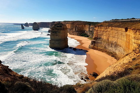 Great Ocean Road Adventure - Private Tour - Reverse - Northern Rivers Accommodation 2