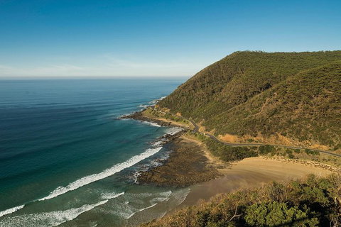 Great Ocean Road Adventure - Private Tour - Reverse - Northern Rivers Accommodation 12