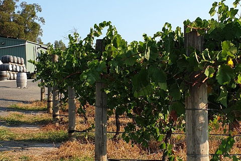 Wine Tasting Tour In The Yarra Valley - Northern Rivers Accommodation 2