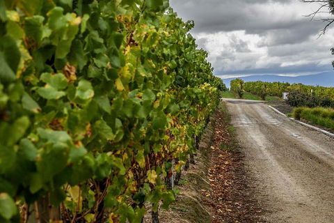Yarra Valley Public Winery Tours - Northern Rivers Accommodation 18