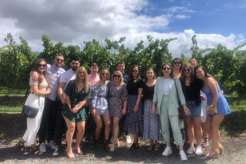 Yarra Valley Public Winery Tours - Northern Rivers Accommodation 16