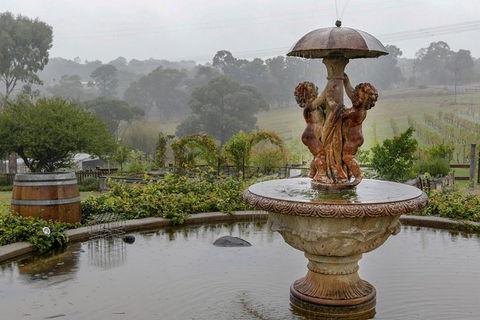 Yarra Valley Public Winery Tours - Northern Rivers Accommodation 6