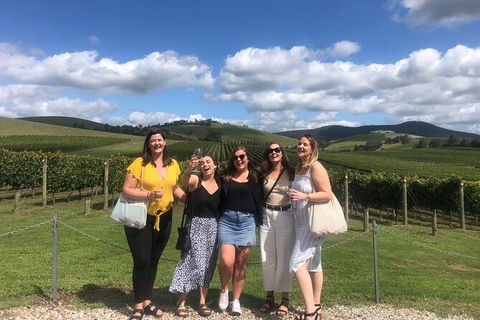 Yarra Valley Public Winery Tours - Northern Rivers Accommodation 15