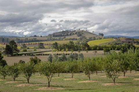 Yarra Valley Public Winery Tours - Northern Rivers Accommodation 5