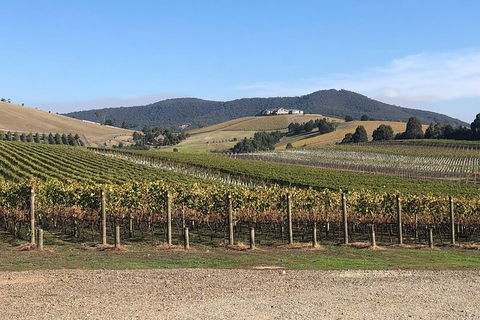 Yarra Valley Public Winery Tours - Northern Rivers Accommodation 17