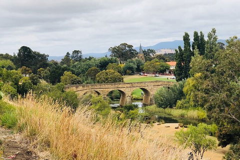Day Tour In Mt. Field, Mt. Wellington, Bonorong Wildlife Sanctuary And Richmond - Northern Rivers Accommodation 6