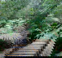 Small-group DayTour from Hobart Hastings Caves Huon Valley and Tahune AirWalk - Northern Rivers Accommodation