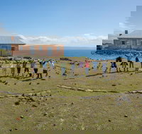 Maria Island Active Day Trip from Hobart - Northern Rivers Accommodation