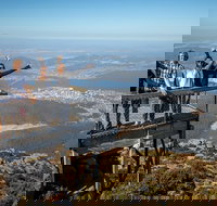 Mt Field National Park Active Day-Trip Including Bonorong and Mt Wellington - Northern Rivers Accommodation