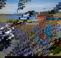 Port Arthur and Lavender Farm Active Day Tour - Northern Rivers Accommodation