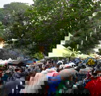 Hobart Half-Day Sightseeing Coach Tram Tour - Northern Rivers Accommodation